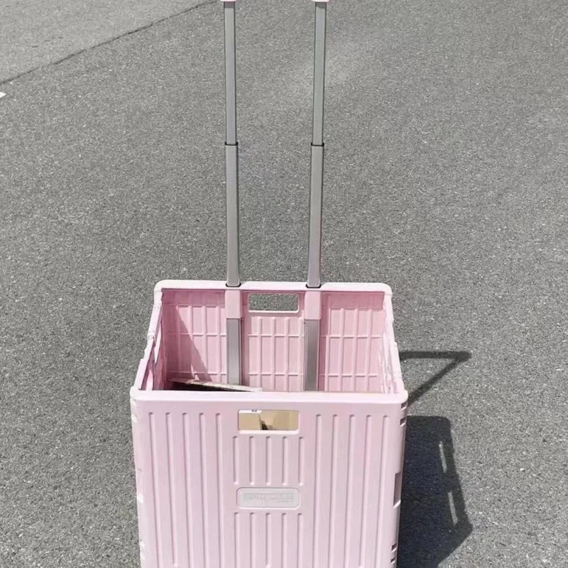 عربة تسوق قابلة للطي مريحة للس - مراجعة Outdoor Camping Trolley وسعره