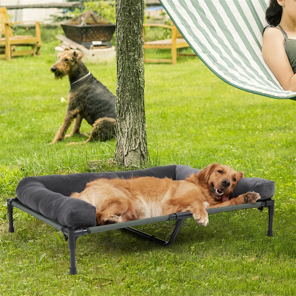 سرير كلاب خارجي مرتفع من BINGO - مراجعة Bed Outdoor Camping وسعره